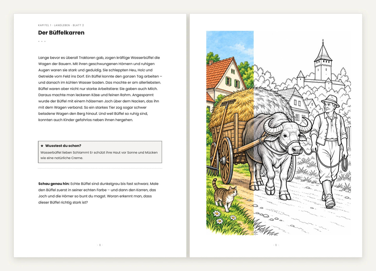 Aufgeschlagene Doppelseite: links die Wissensseite „Der Büffelkarren“, rechts das Ausmalbild mit Büffelgespann vor einer Kirchenburg